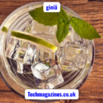 giniä