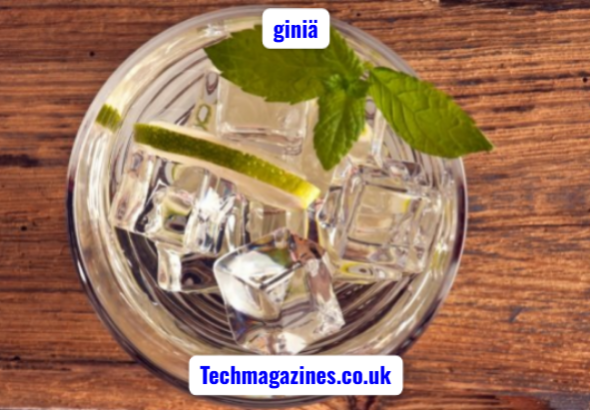 giniä